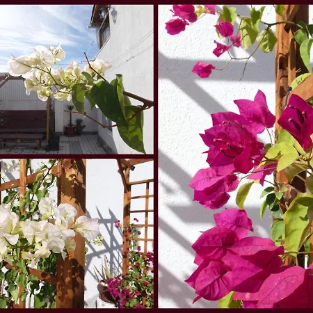 Toca Do Lobo Apartment Charneca  Exterior photo
