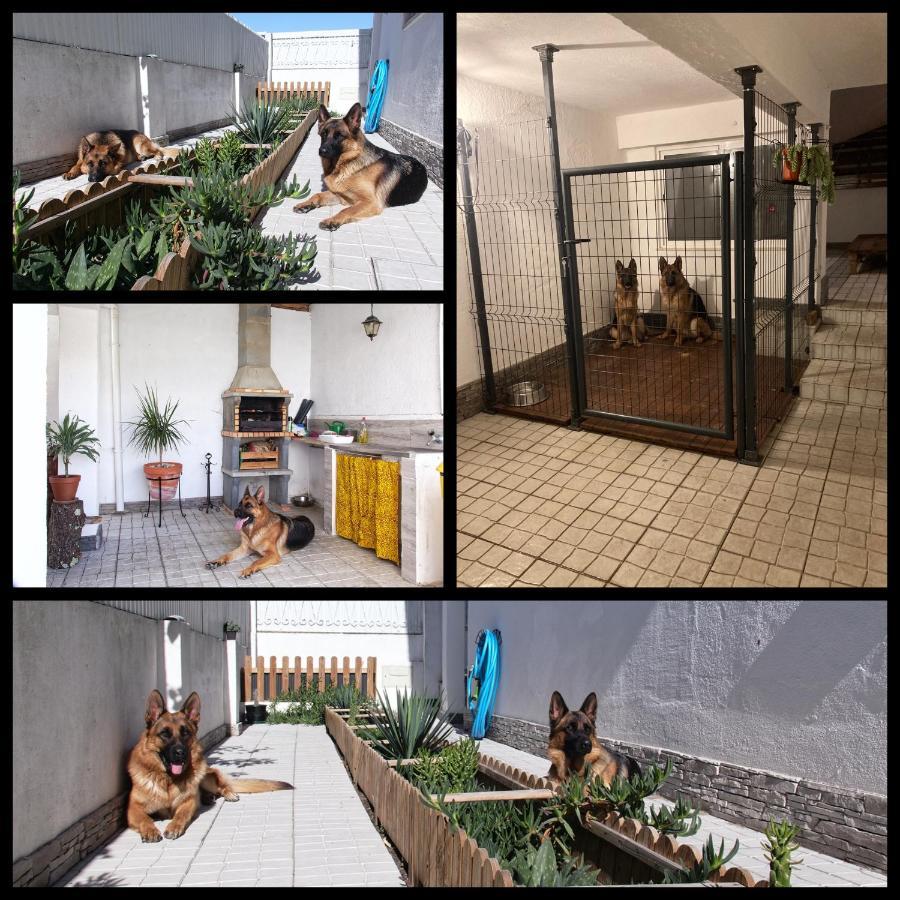 Toca Do Lobo * Charneca (Setubal)